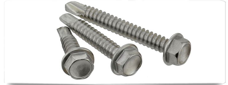 圖片展示 圖片展示