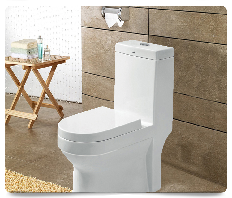 節(jié)水型座便器商品情景