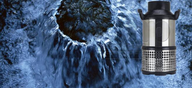 潛水泵實(shí)拍圖1