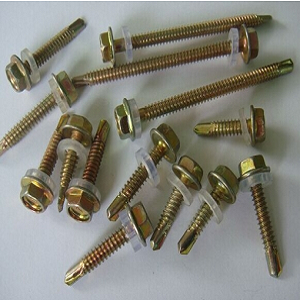 實拍展示 實拍展示