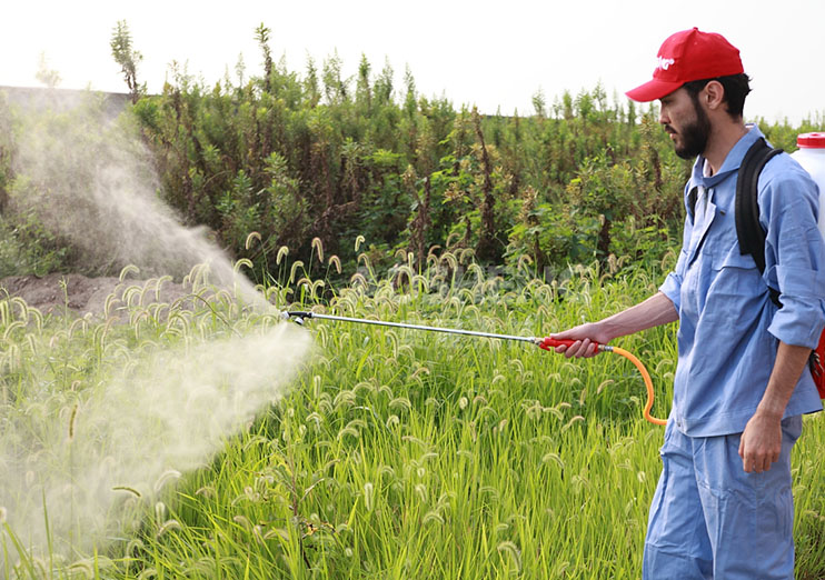 產(chǎn)品展示（三）