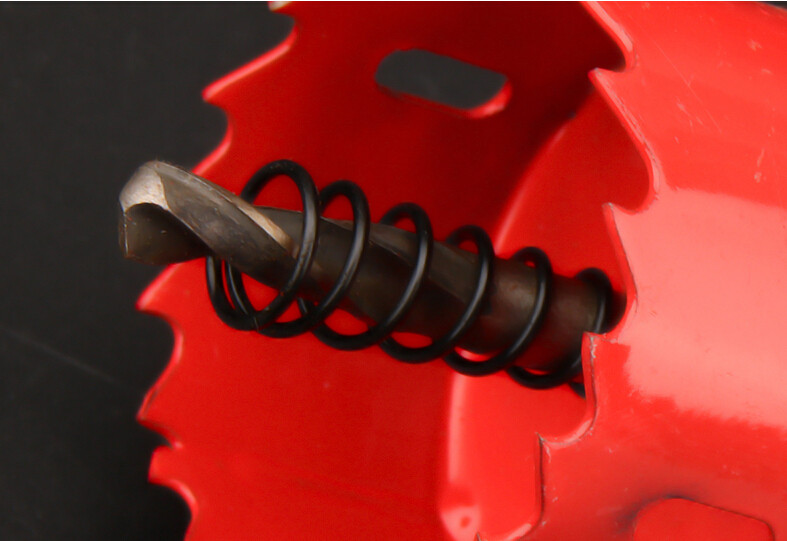 排泄孔細(xì)節(jié)圖