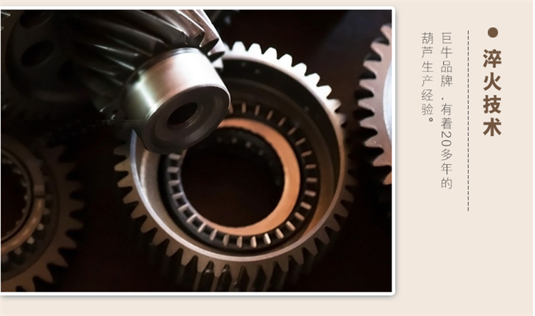 手拉葫蘆細(xì)節(jié)3 手拉葫蘆細(xì)節(jié)3