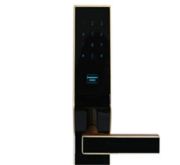 物聯(lián)密碼鎖展示圖