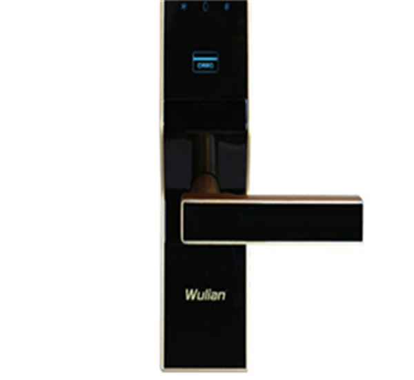 物聯(lián)密碼鎖展示圖