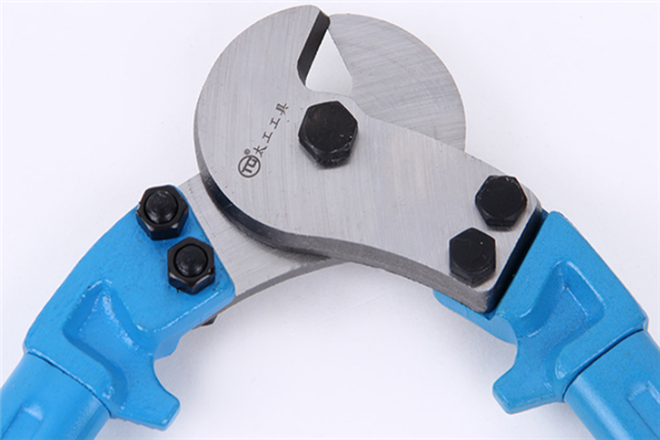 圖片展示 圖片展示