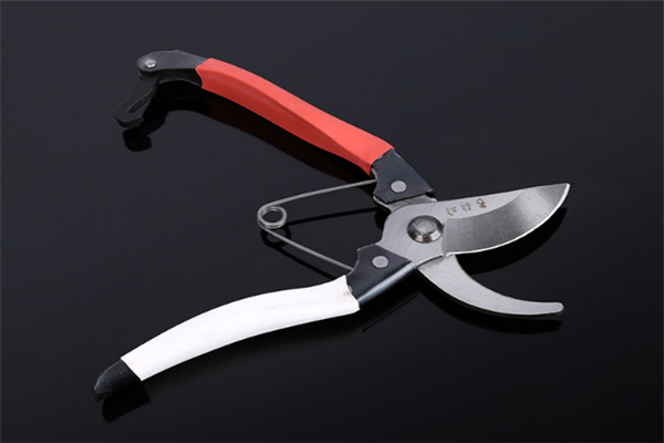 圖片展示 圖片展示