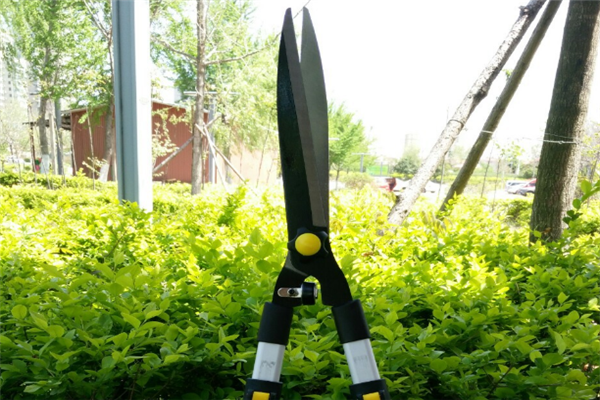 圖片展示 圖片展示