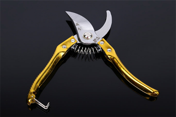 圖片展示 圖片展示