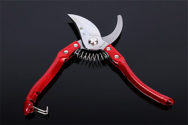 圖片展示 圖片展示