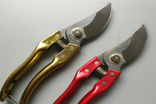 圖片展示 圖片展示