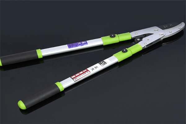 圖片展示 圖片展示