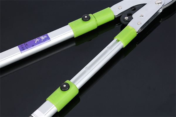 圖片展示 圖片展示