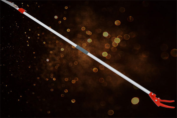 圖片展示 圖片展示