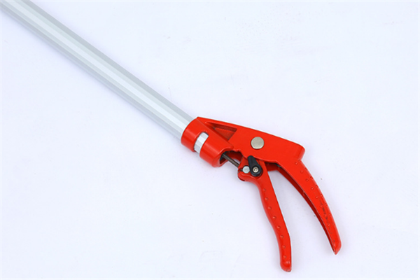 圖片展示 圖片展示