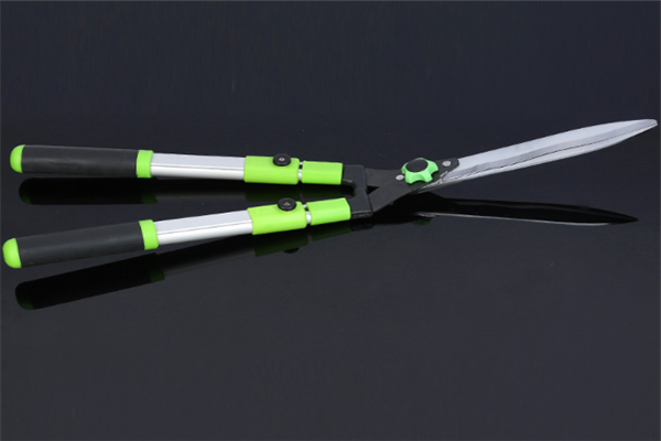 圖片展示 圖片展示