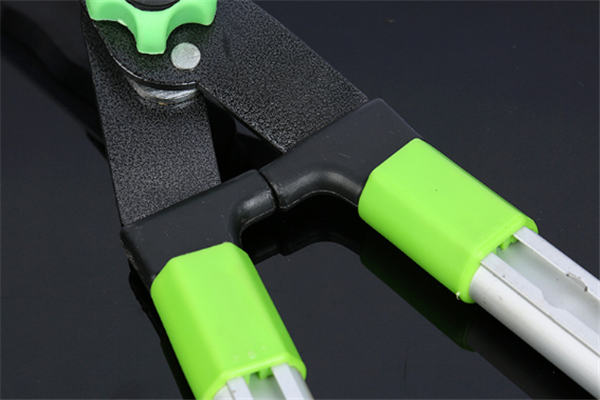 圖片展示 圖片展示