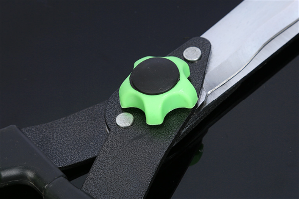 圖片展示 圖片展示