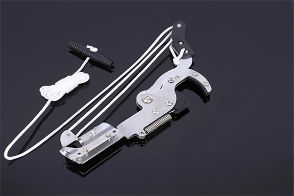 圖片展示 圖片展示