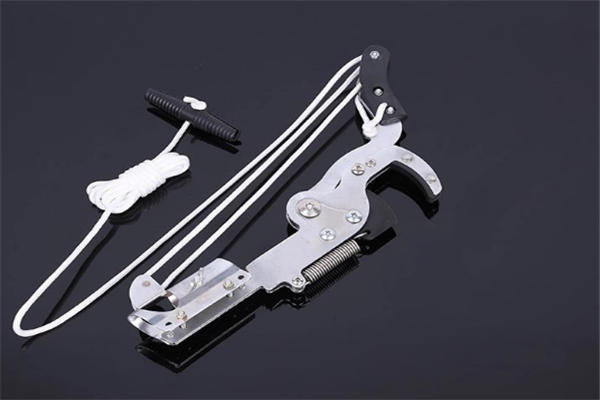 圖片展示 圖片展示