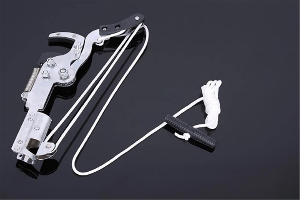 圖片展示 圖片展示