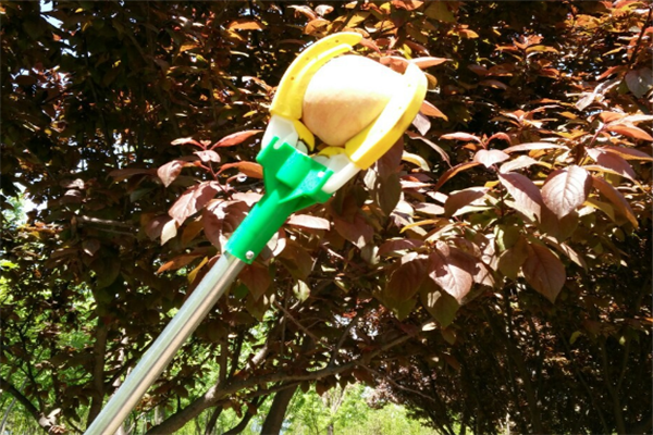 圖片展示 圖片展示